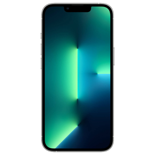 iPhone 13 Pro Silver 1TB (Unlocked) - Image 3