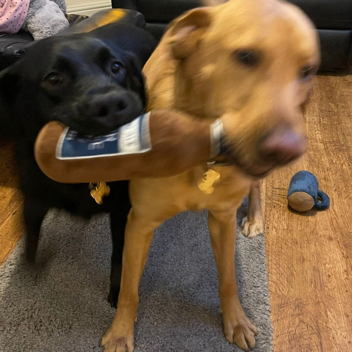 Lager Dog Toy - Brown - Image 2