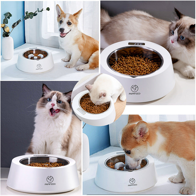 Smart Weighing Slow Feeder Bowl - Image 2
