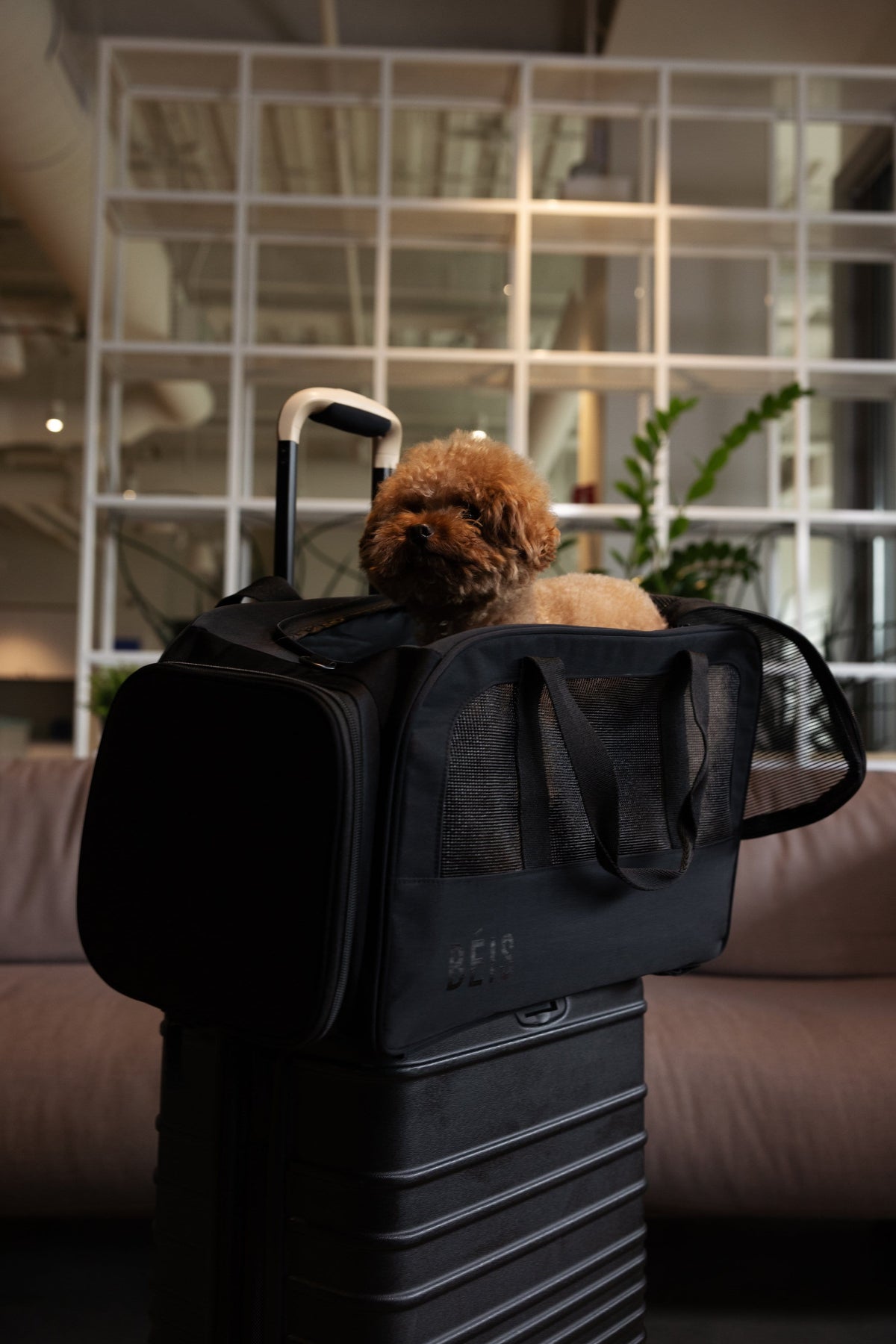 Resale The Regulation Pet Carry-on in Black - Image 13