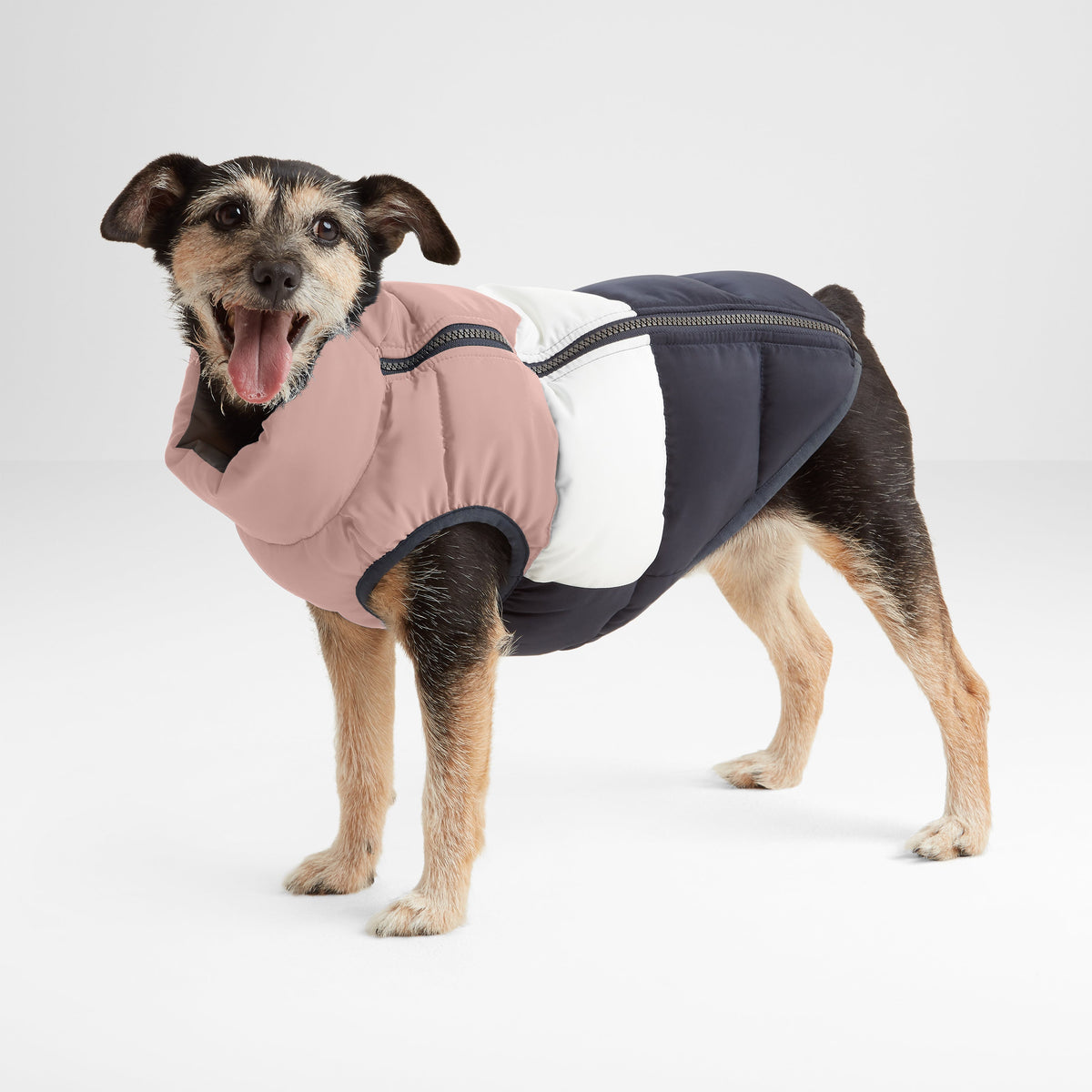 Fetch Padded Dog Coat - Faded Pink/Ice Grey/Washed Blue - Image 3
