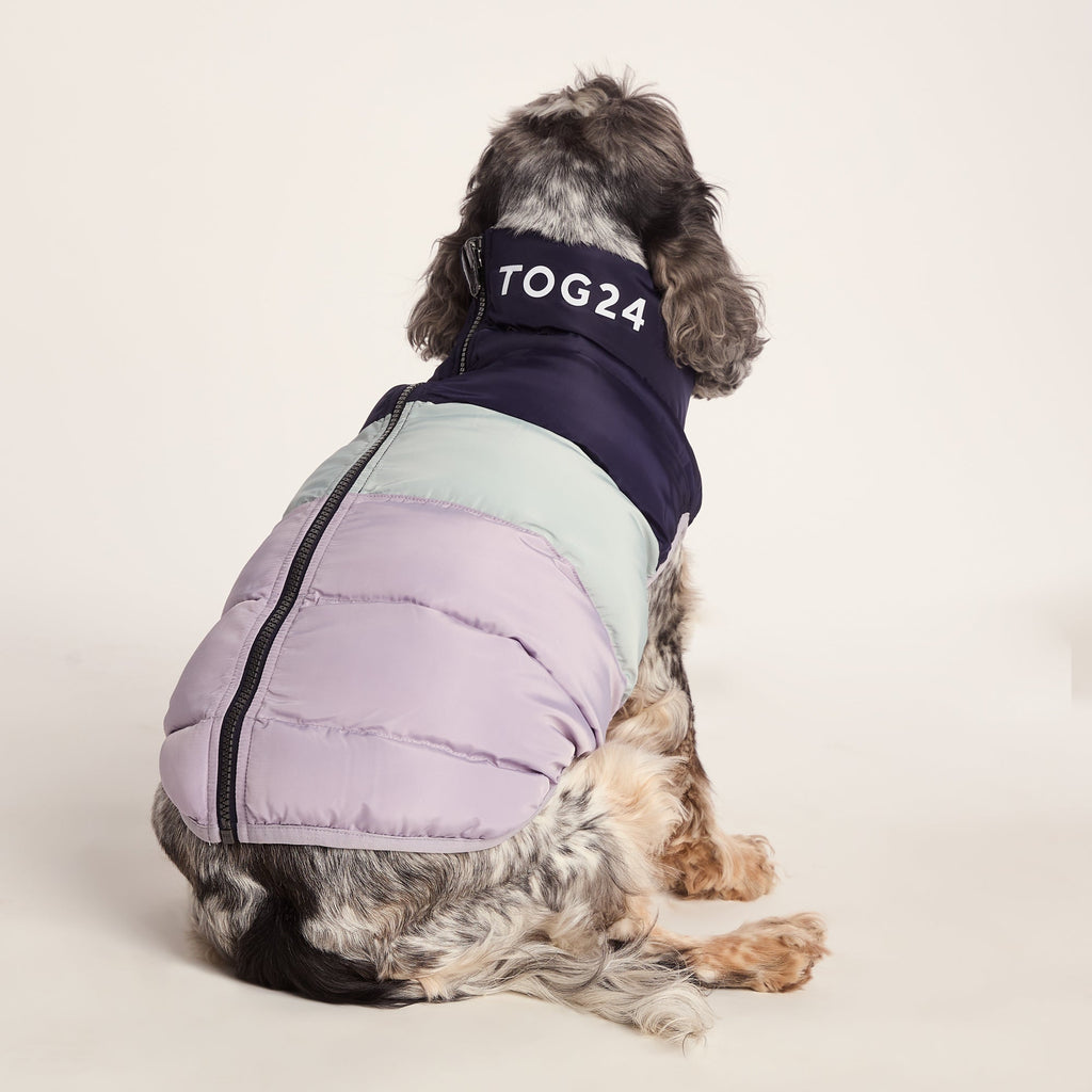 Fetch Padded Dog Coat M - Oxford Blue/Light Mist/Lavender Grey - Image 2