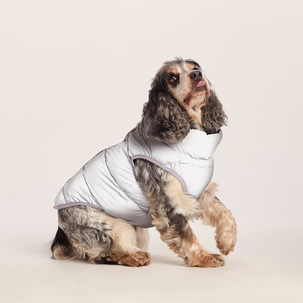 Fetch Padded Dog Coat M - Oxford Blue/Light Mist/Lavender Grey - Image 5