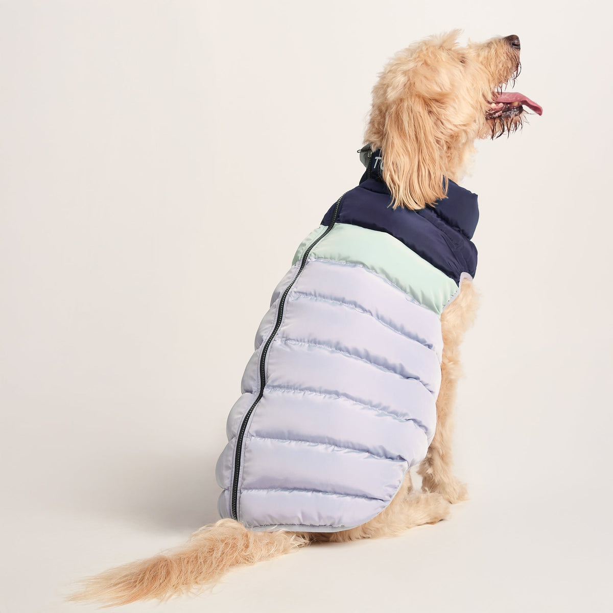 Fetch Padded Dog Coat XL - Oxford Blue/Light Mist/Lavender Grey - Image 2
