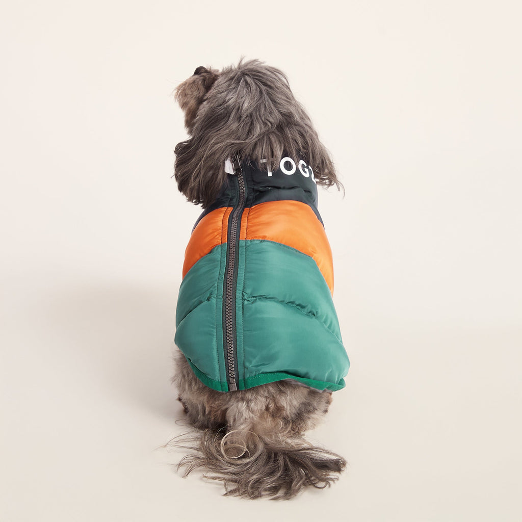 Fetch Padded Dog Coat XS - Dark Indigo/Mahogany Orange/Dark Turquoise - Image 2