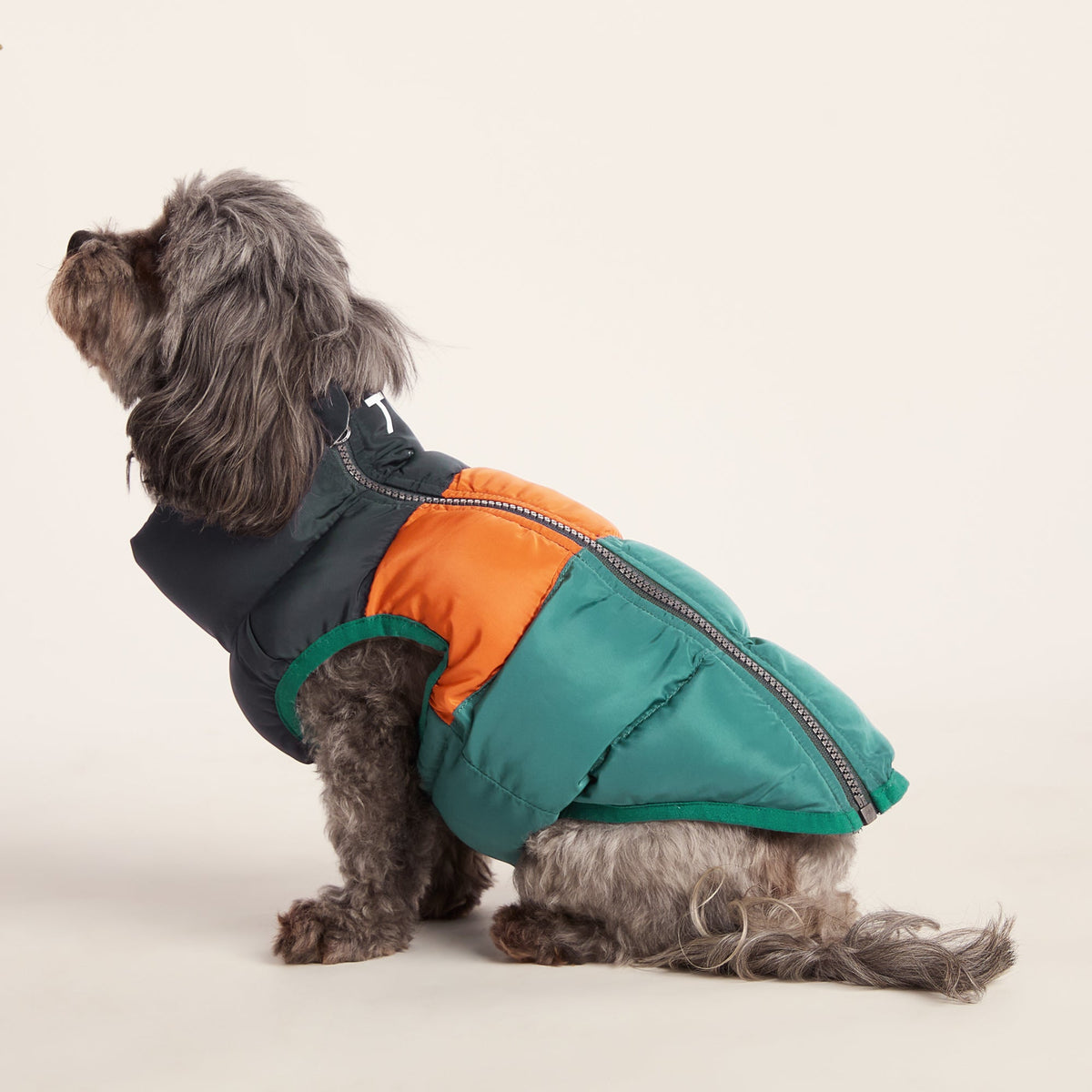 Fetch Padded Dog Coat XS - Dark Indigo/Mahogany Orange/Dark Turquoise - Image 4