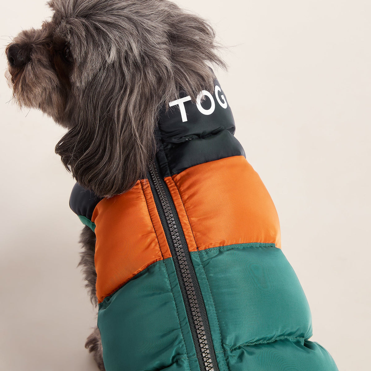 Fetch Padded Dog Coat XS - Dark Indigo/Mahogany Orange/Dark Turquoise - Image 5