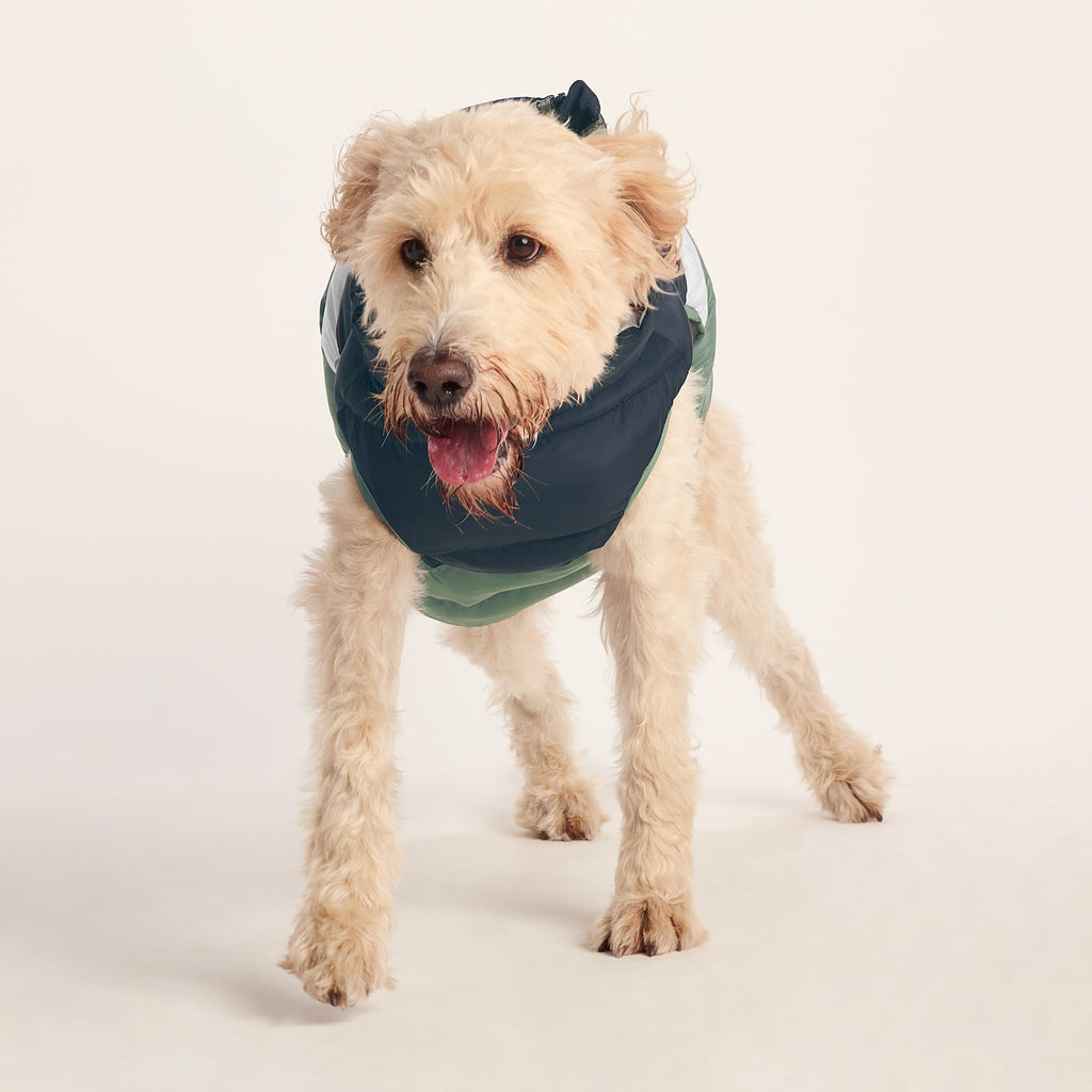 Fetch Padded Dog Coat L - Dark Indigo/Vanilla/Light Forest - Image 5