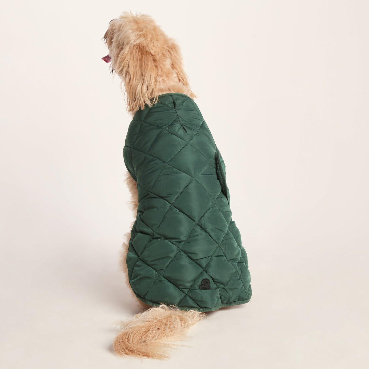 Fido Padded Dog Coat XL - Racing Green - Image 2