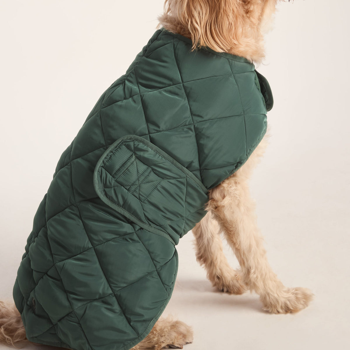 Fido Padded Dog Coat XL - Racing Green - Image 3