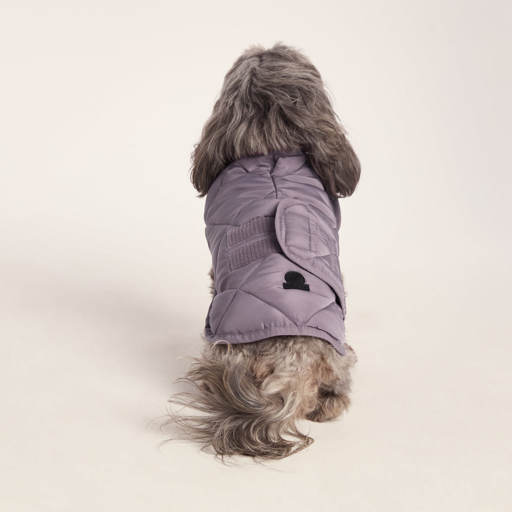Fido Padded Dog Coat XS - Dusky Lilac - Image 2
