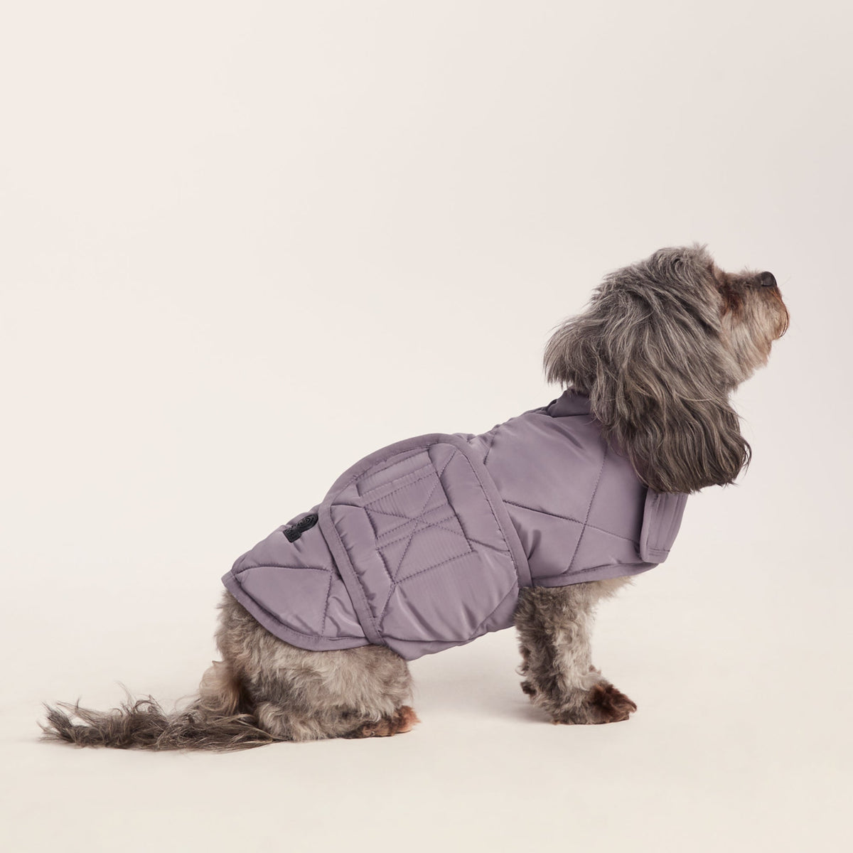 Fido Padded Dog Coat XS - Dusky Lilac - Image 4