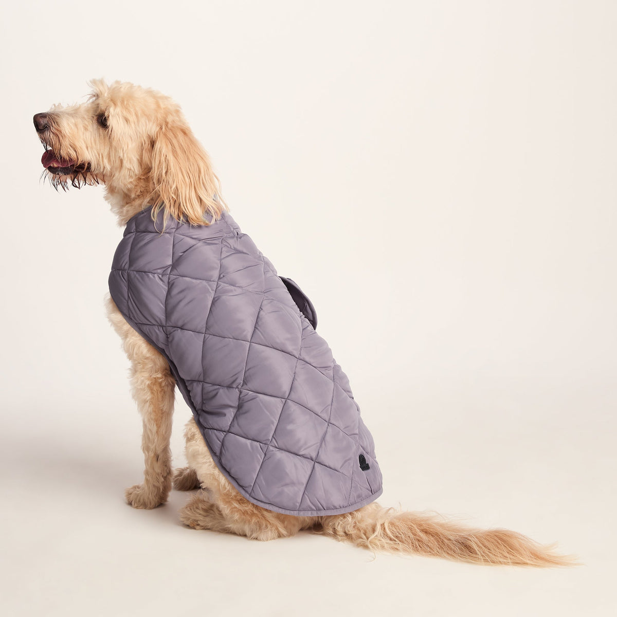 Fido Padded Dog Coat XL - Dusky Lilac - Image 2