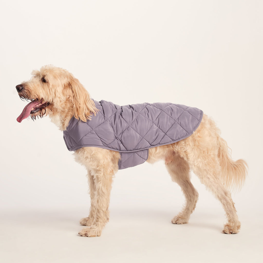 Fido Padded Dog Coat XL - Dusky Lilac - Image 5