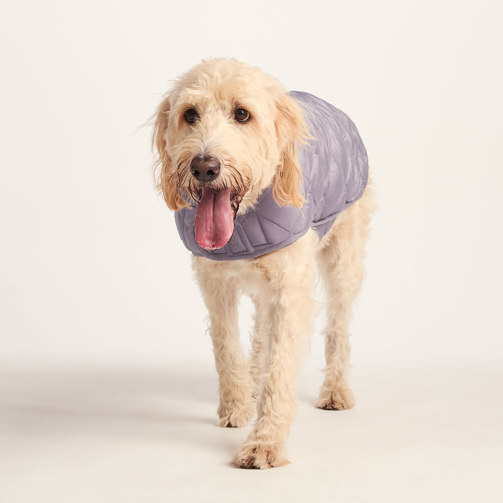 Fido Padded Dog Coat XL - Dusky Lilac - Image 6