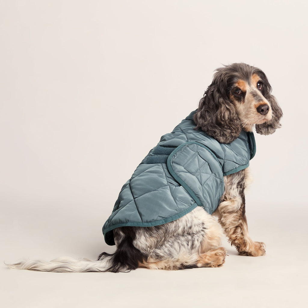 Fido Padded Dog Coat M - Graphite - Image 2