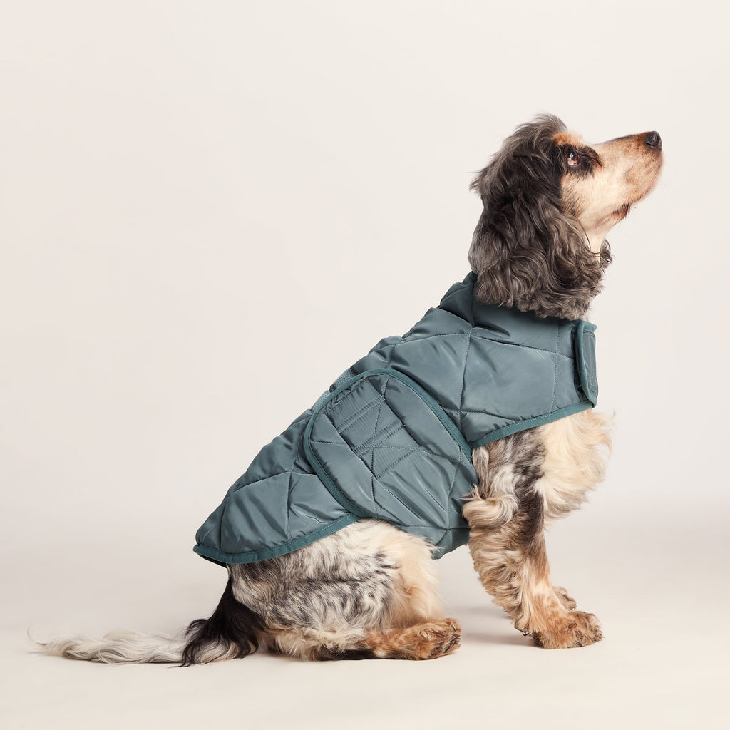 Fido Padded Dog Coat M - Graphite - Image 4