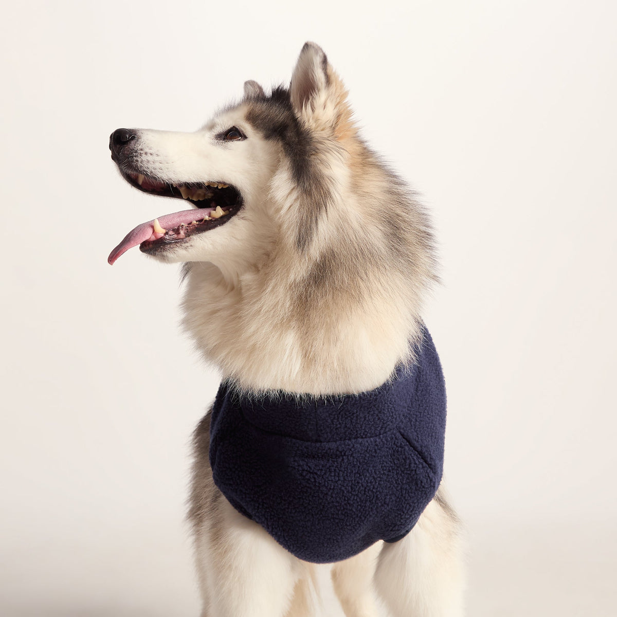 Rover Sherpa Dog Coat L - Oxford Blue - Image 3