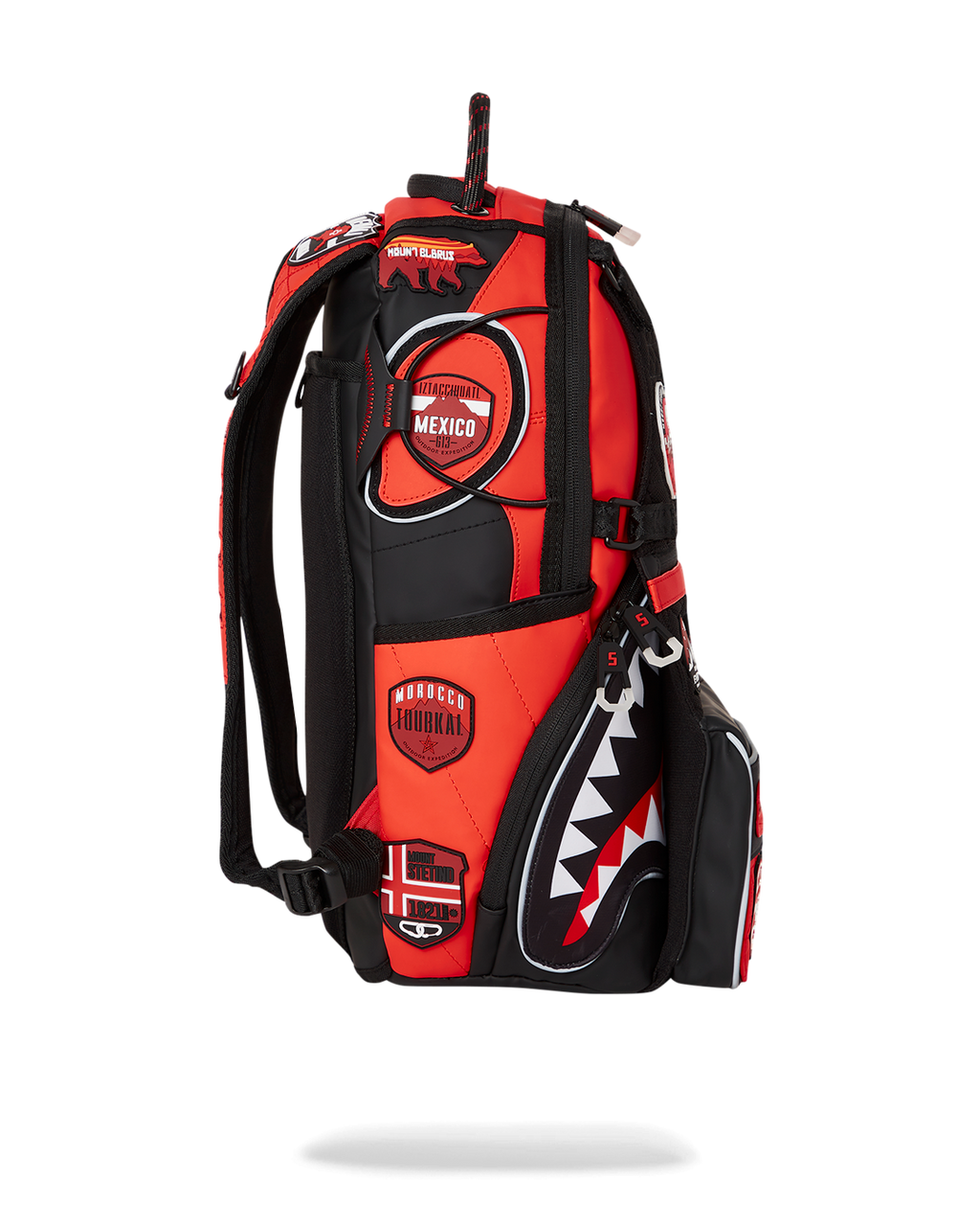 The Global Expedition Sharkglider Backpack - Image 7