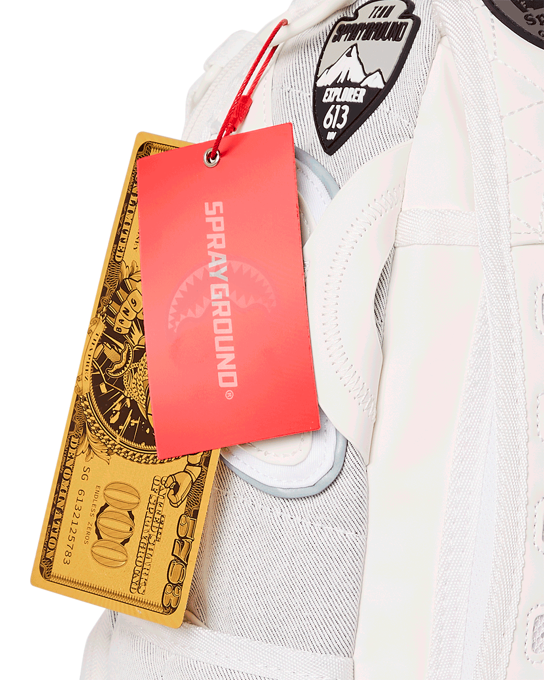 The Global Expedition Subzero Backpack - Image 21