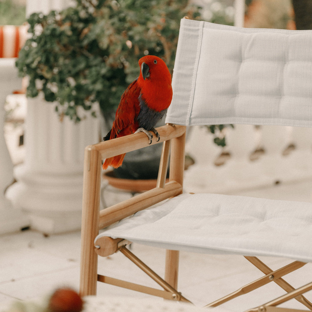 The WES Directors Chair - Image 2