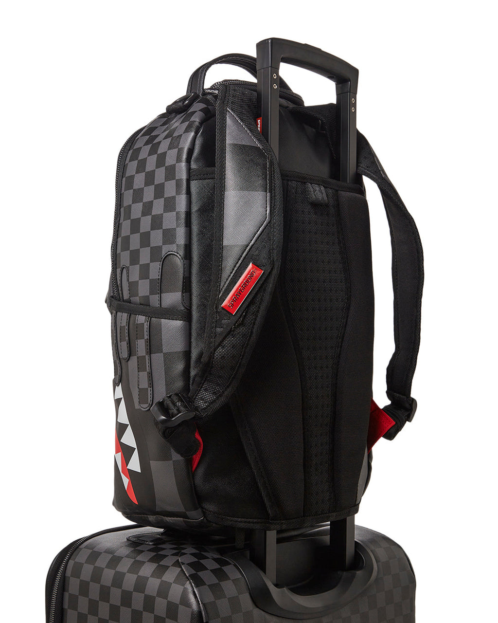 Xtc Grey Sharks in Paris Jetsetter Carry-On Luggage - Image 11