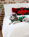 🎁 Pet Pajamas - Christmas Plaid Green (100% off)