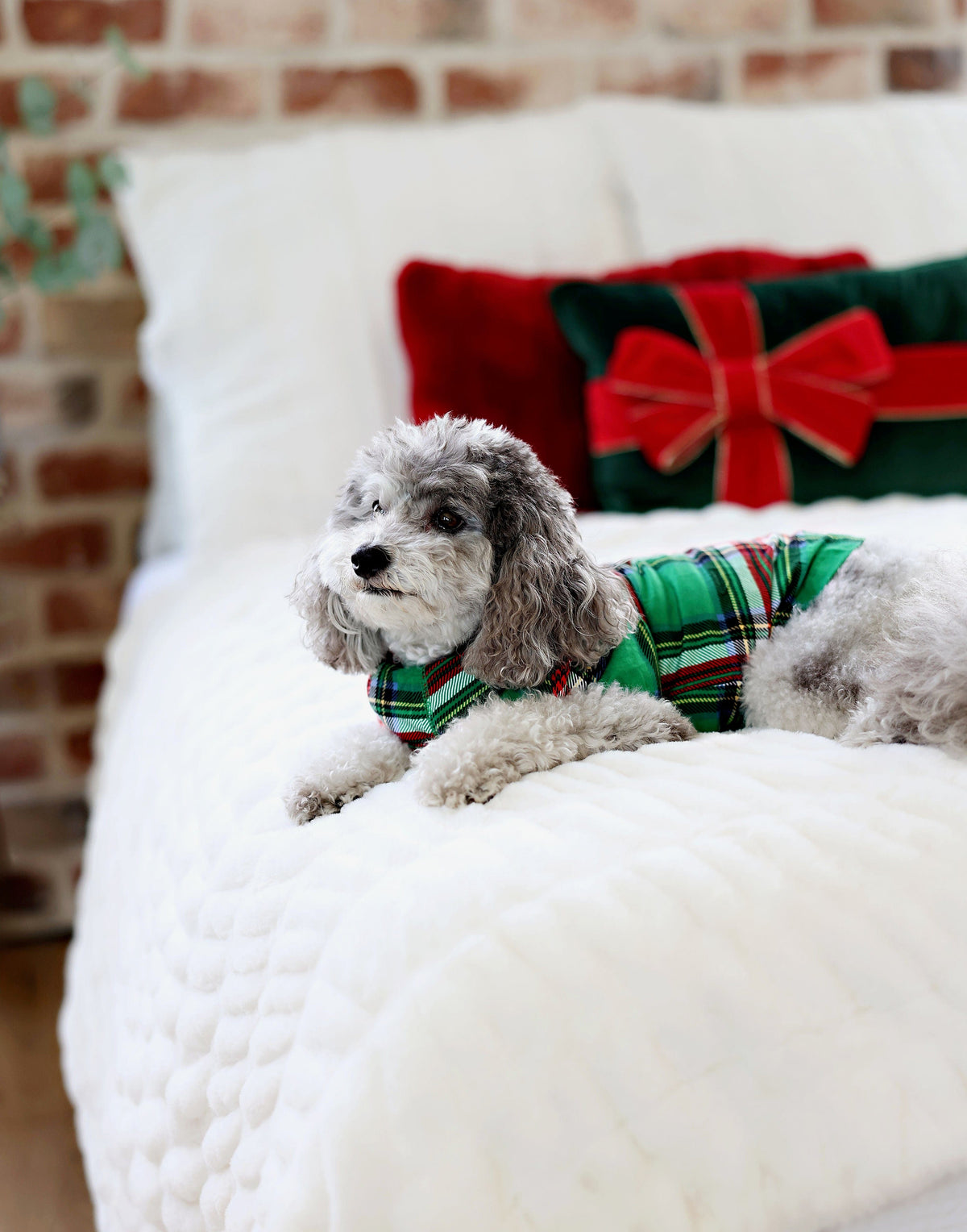 🎁 Pet Pajamas - Christmas Plaid Green (100% off)