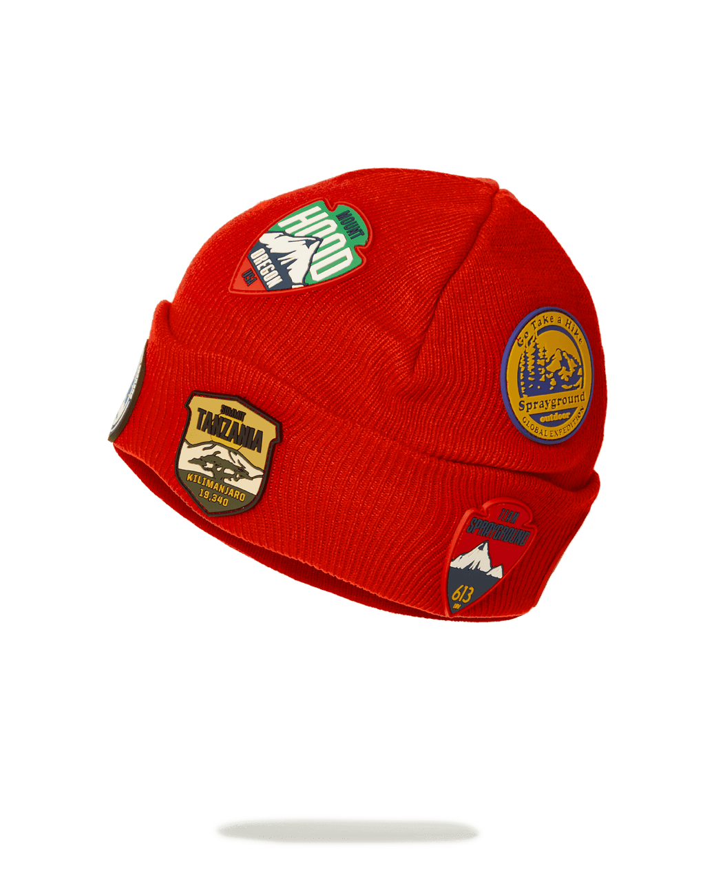 The Global Expedition Beanie - Image 7