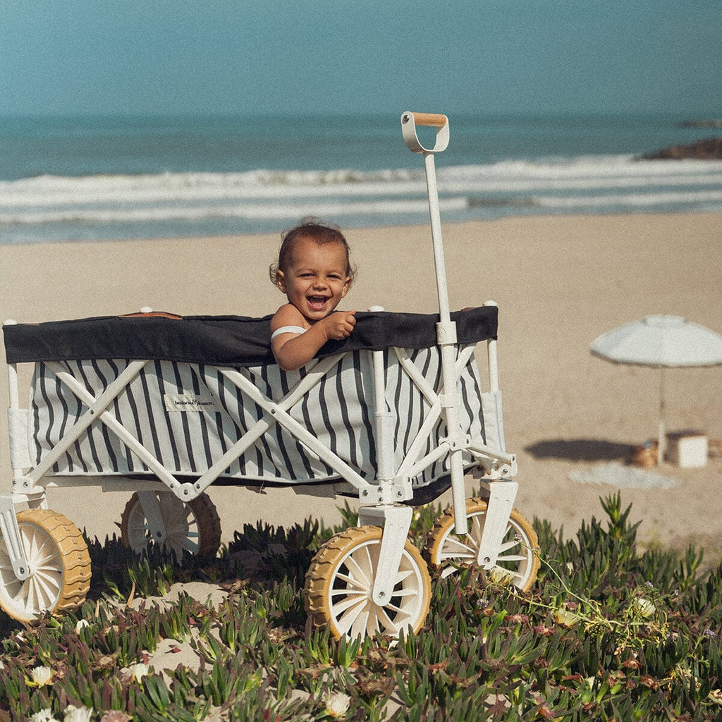 The Beach Cart - Image 9