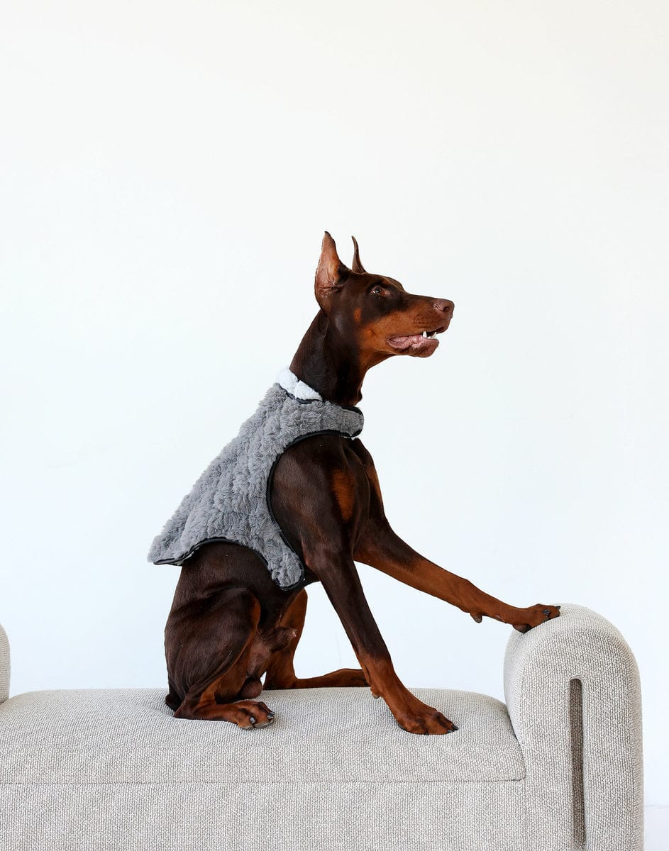 Pet Vest - Dark/Light Gray