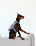 Pet Vest - Dark/Light Gray