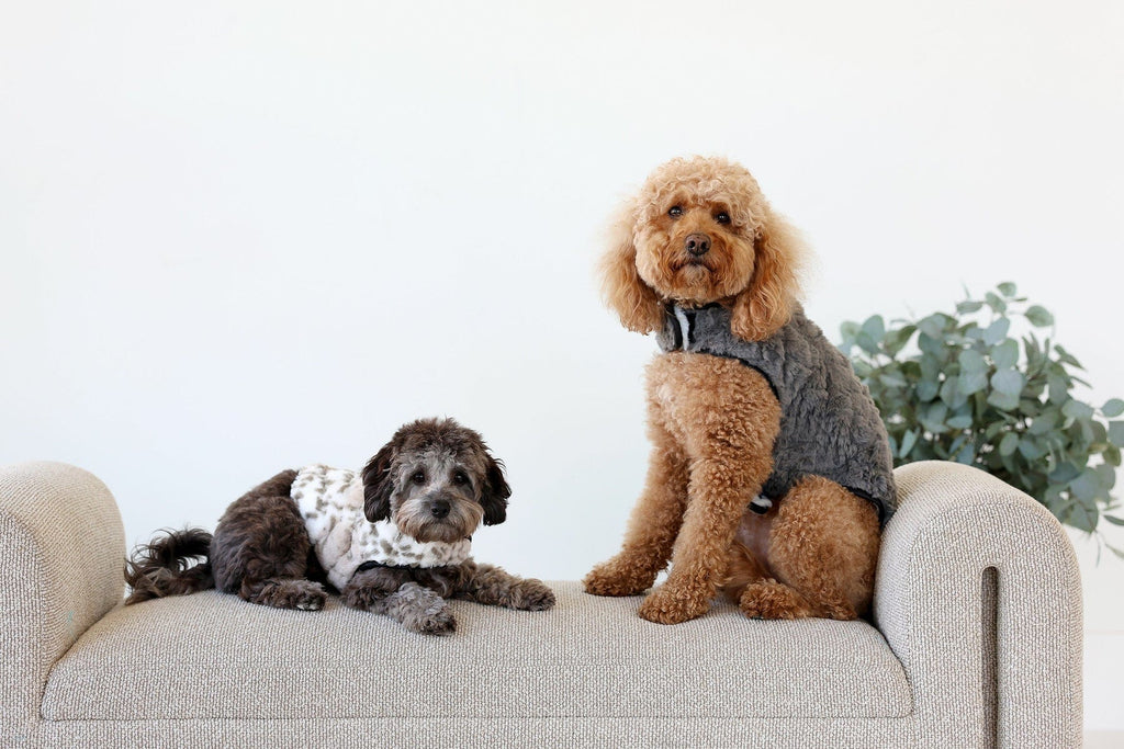 Pet Vest - Dark/Light Gray - Image 4