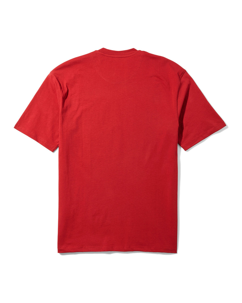 Youth Anatomy Bear T-Shirt Red - Image 3