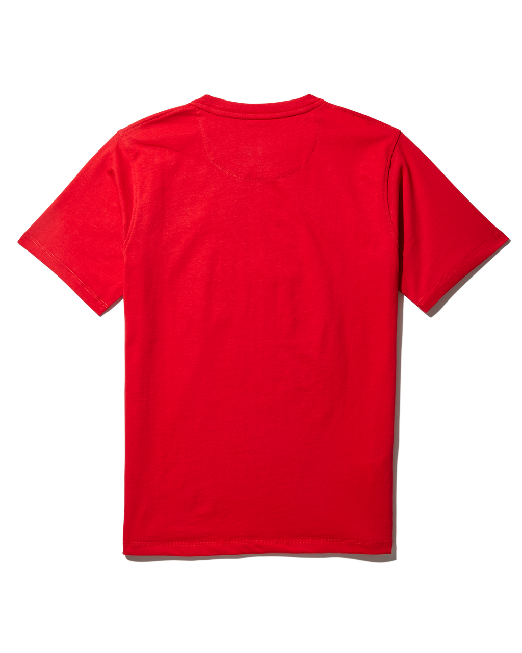 Youth Anatomy Bear T-Shirt Red - Image 4