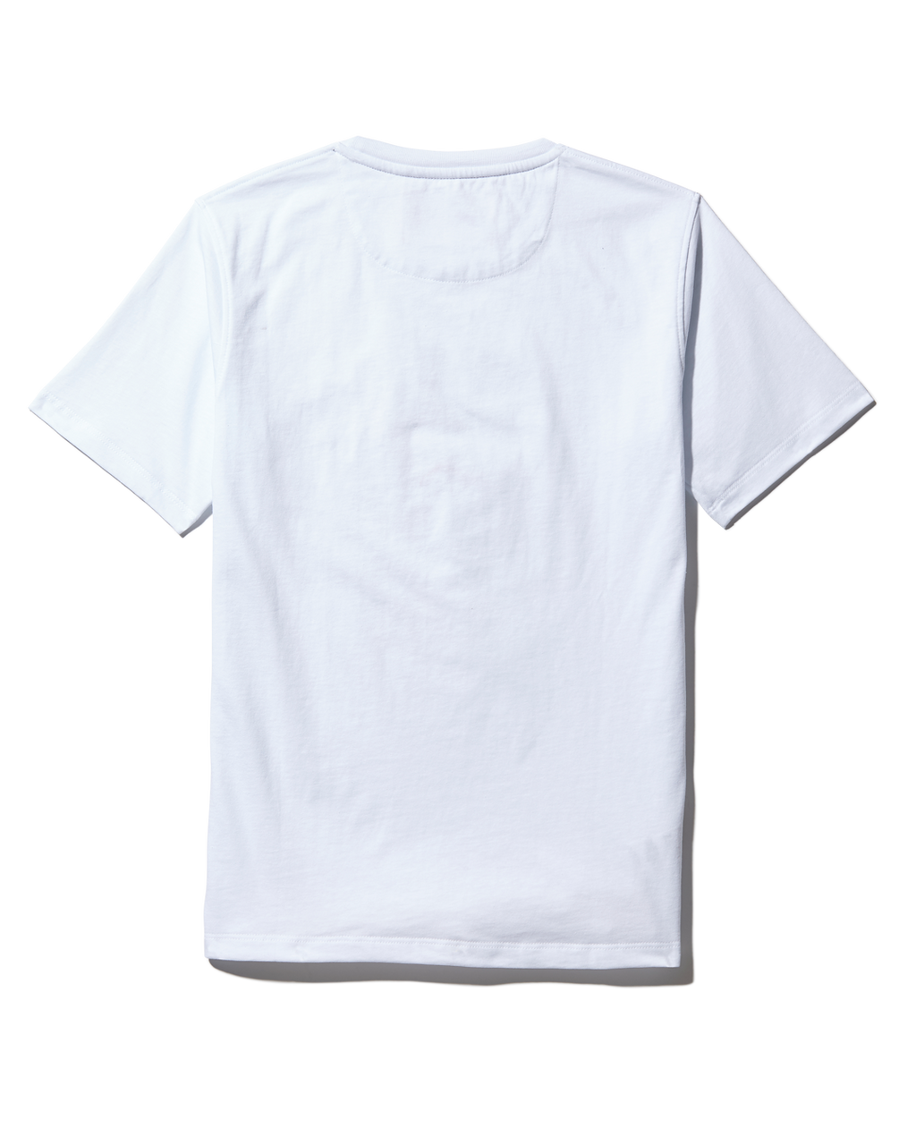 Youth Anatomy Bear T-Shirt White - Image 2