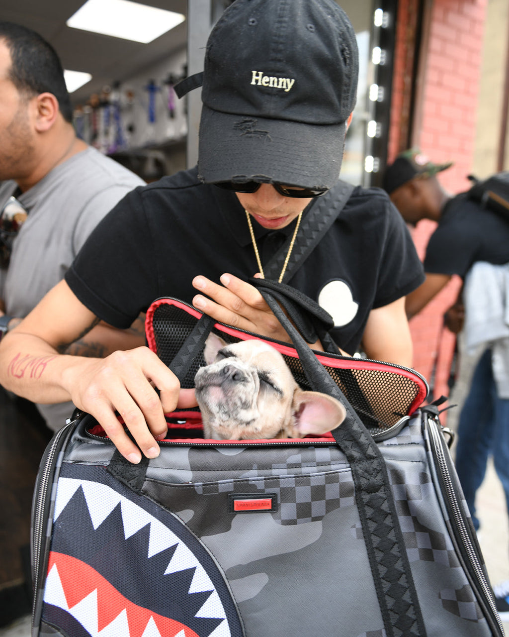 3AM Pet Carrier - Image 11