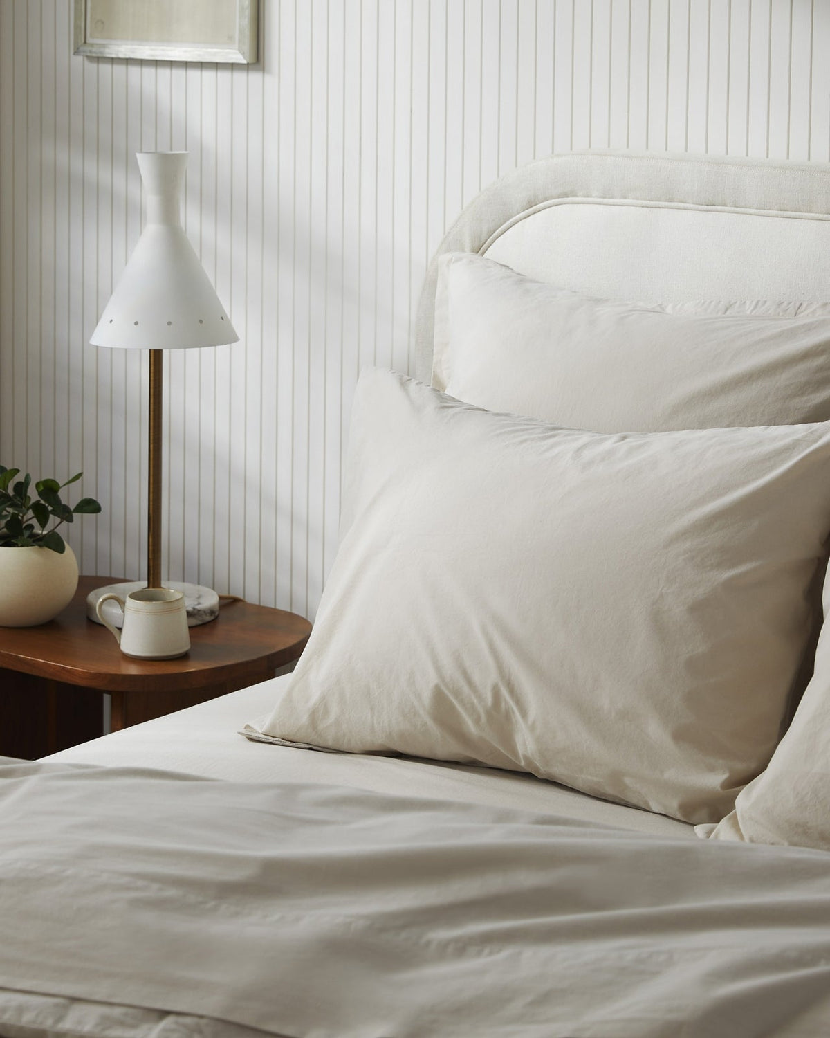 Brushed Cotton Venice Set - Bone F/Q - Image 2