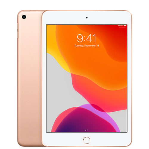 iPad mini (5th Gen, 2019) 256GB - Gold (Wi-Fi)