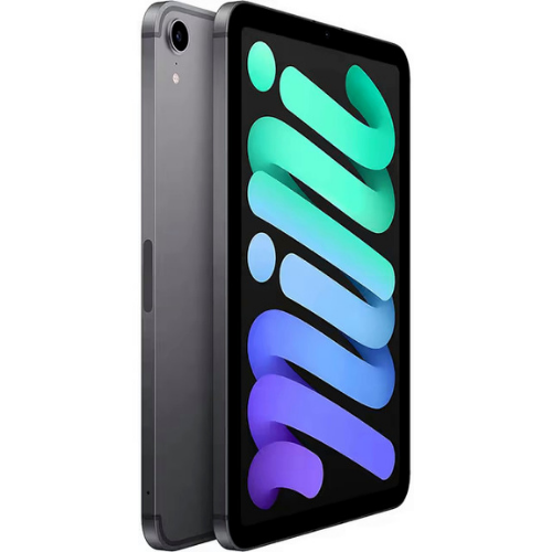 iPad mini (6th Gen, 2021) 64GB - Space Gray (Wi-Fi + Cellular) - Image 2