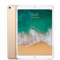 iPad Pro 10.5" (2017) 512GB - Gold (Wi-Fi + Cellular)