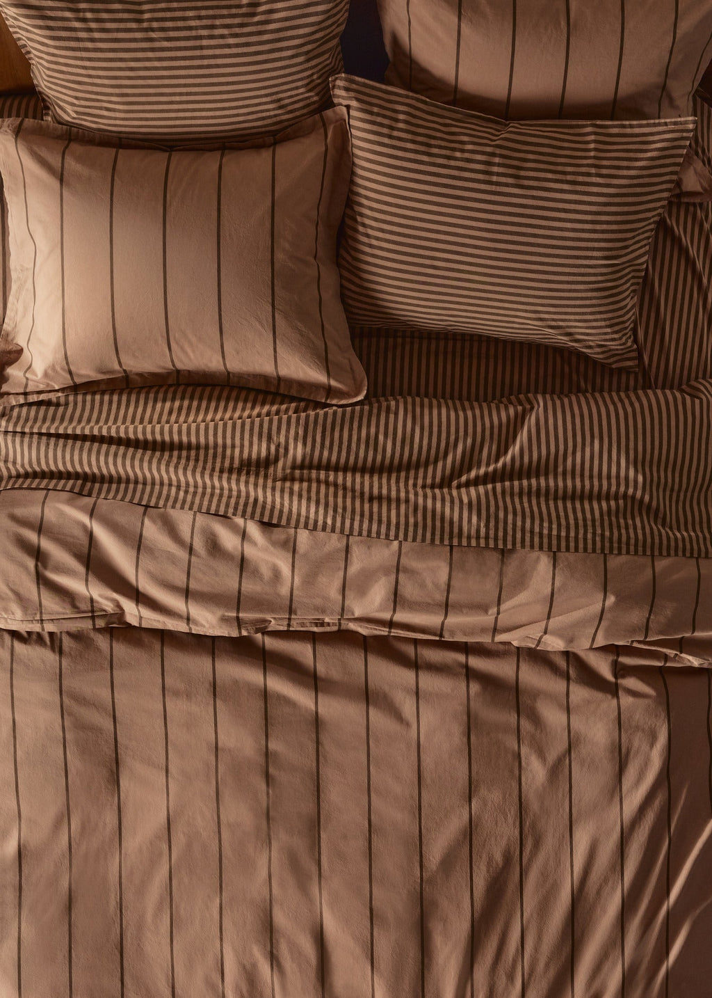 Percale Bundle - Adobe Stripe TW/XL - Image 4