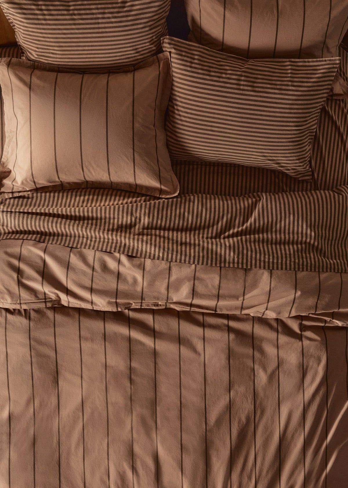 Percale Bundle - Adobe Stripe TW/XL - Image 4